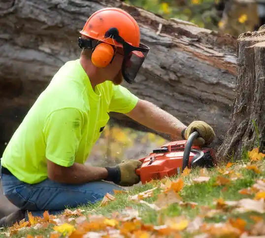 tree services Huntingtown